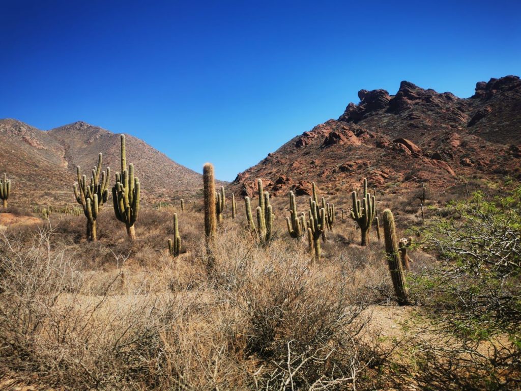 Nuestros dias en Salta: Disfrutando visitas de Alemania, familia y amigues – Parte&nbsp;1