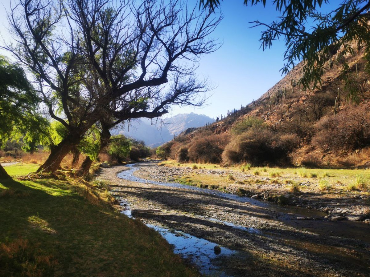 Willkomen in Argentinien