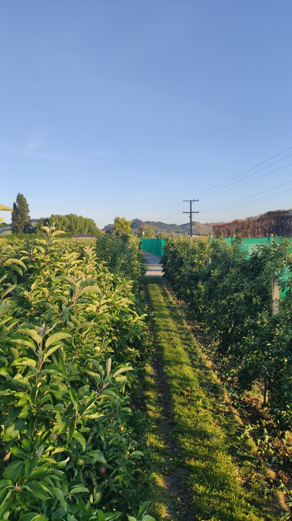 Arbeiten in Gisborne