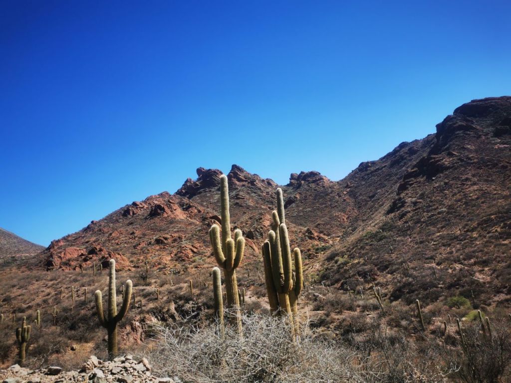 Unserer Zeit im Salta: Besuch aus Deutschland, Freunde und&nbsp;Familie