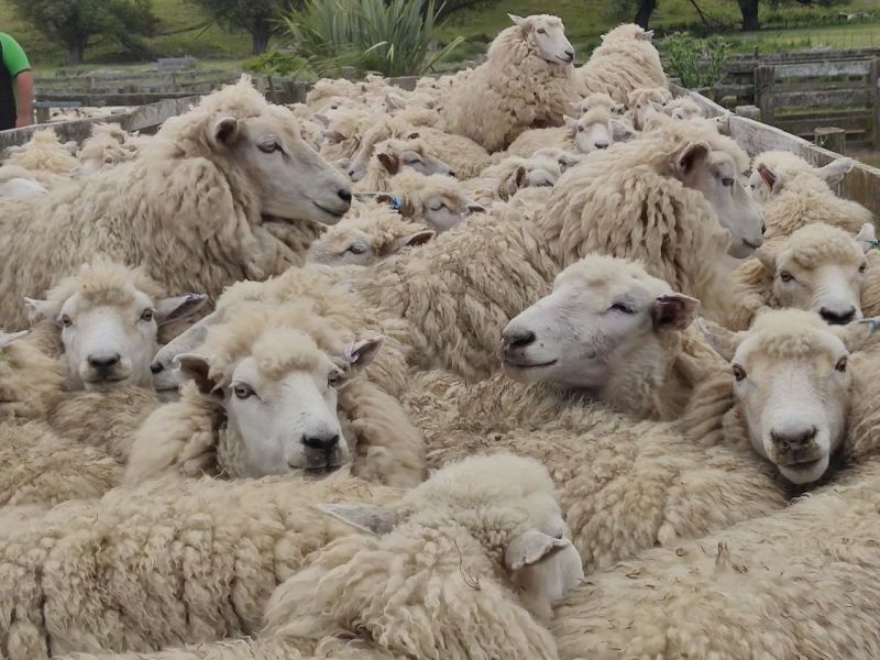 Alles traumhaft, bis plötzlich&nbsp;…