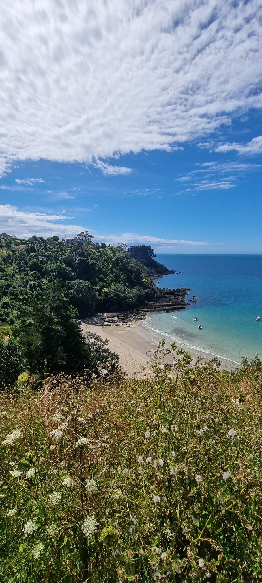 El cierre del cápitulo&nbsp;Neozelandés